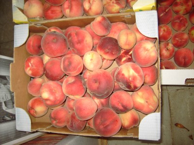 PICT6051.JPG