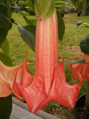 25.08. SuperSpot.JPG