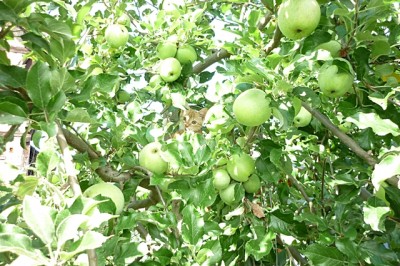 august  2010 001.jpg