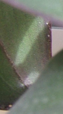 14.JPG