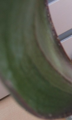 11.JPG