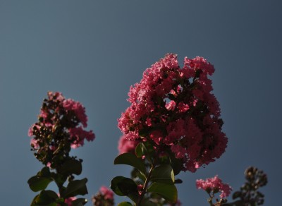 DSC_0047.JPG