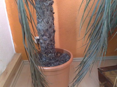 290820104453.jpg