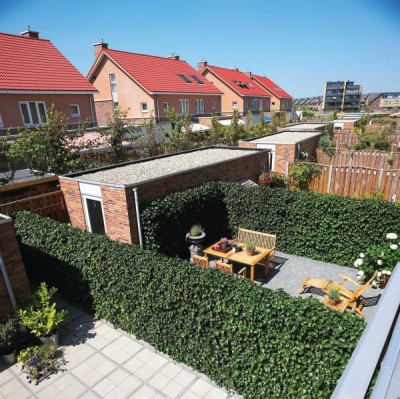 Die Fertighecke Schmale Hecken für kleine Gärten · Garten & Pflanzen