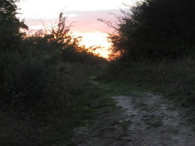 Sonnenuntergang.JPG