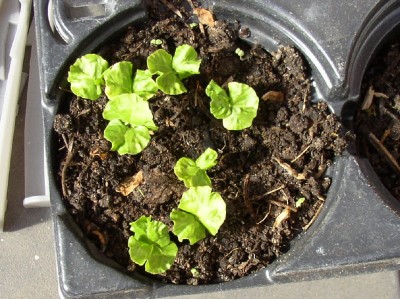 P10100166 (9)_01.jpg