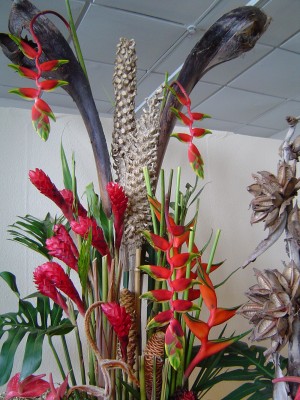 Orchideenschau 2010 l.jpg