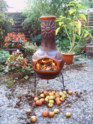 IMG00031.JPG