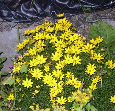 P1010030_01.jpg