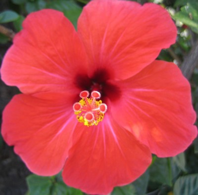 20100830_0001_2.JPG