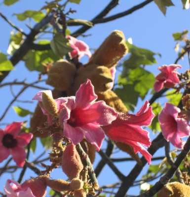 20100830_0001_4.JPG