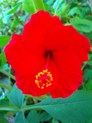 100D0814.JPG