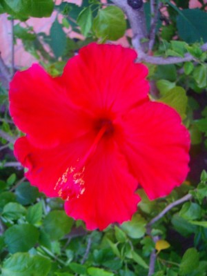 100D0757.JPG