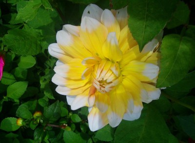 100D0512.JPG