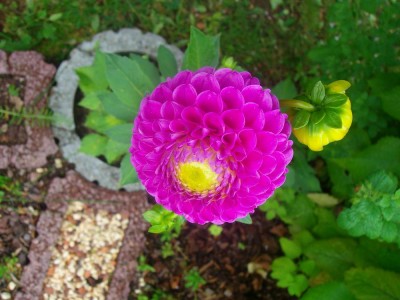 100D0427.JPG