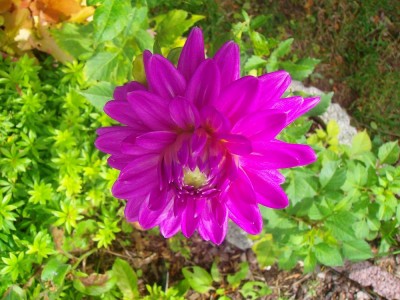 100D0478.JPG