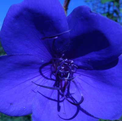 Bild 177-crop.jpg