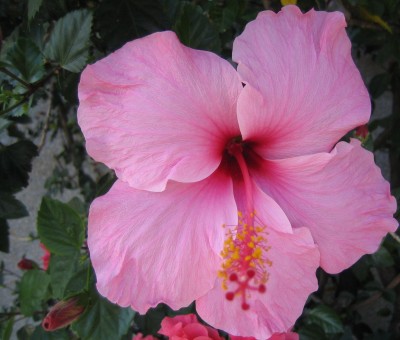 20100830_0001.JPG
