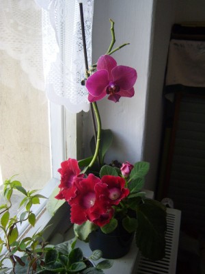 DSCI0001_1024x1365.JPG