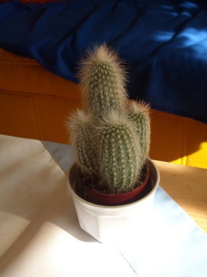 DSCN1659.JPG