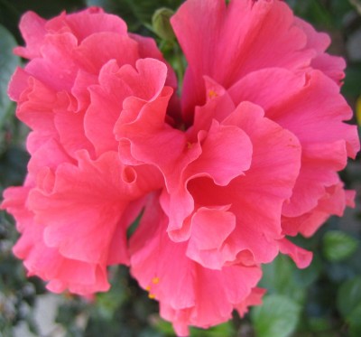 20100830_0001_1.JPG