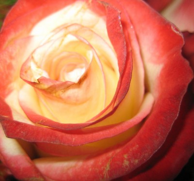 20100728_0001_5.JPG