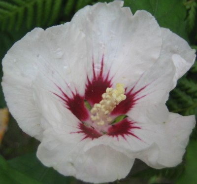 20100908_0001_13.JPG