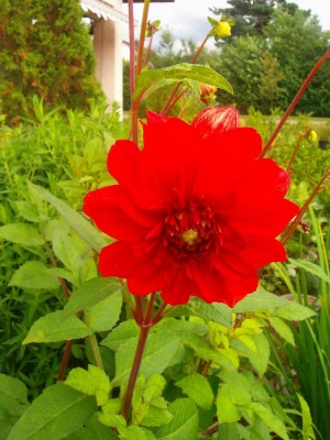 100D0470.JPG