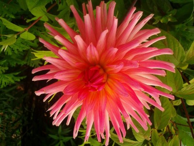 100D0473.JPG