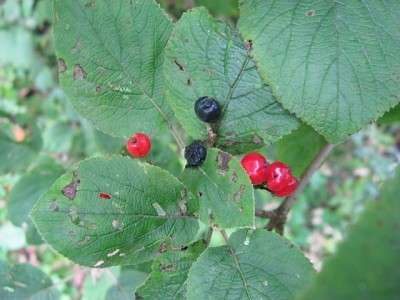 IMG_2760.jpg