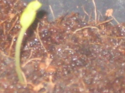 S8000001_(640_x_480).jpg