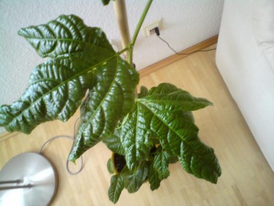 DSC00120.JPG