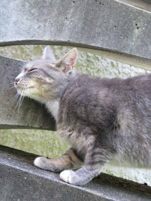 mischka_486.JPG