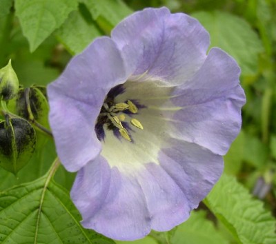 P10100180 (8)_01.jpg