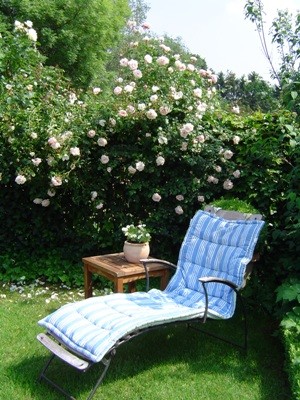 Garten Mai 07 005.jpg