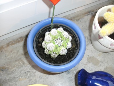 BILD0005 neu.jpg