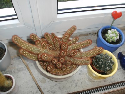 BILD0003 neu.jpg