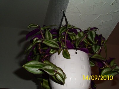 image001.jpg