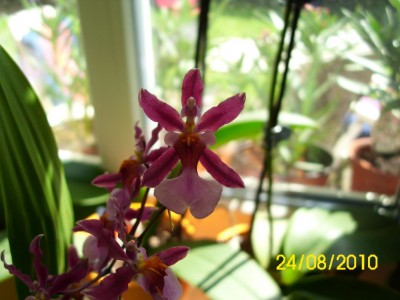 image020.jpg