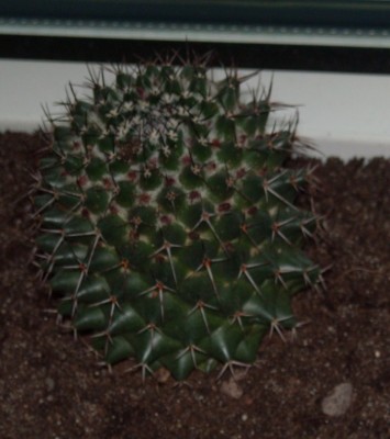 DSCN1684.JPG