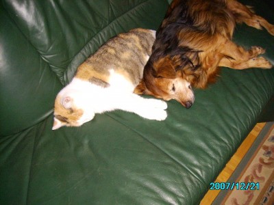 Unsere Tiere 011.jpg