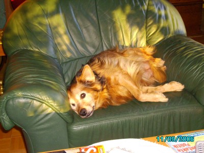 Unsere Tiere 022.jpg