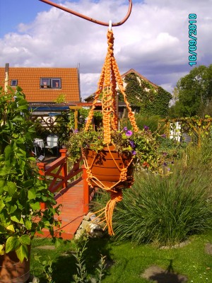 Garten September 2010 030.jpg