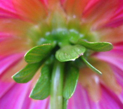 20100805_0001_4.JPG