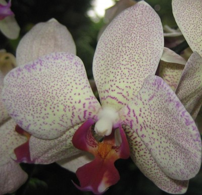 20100908_0001_14.JPG
