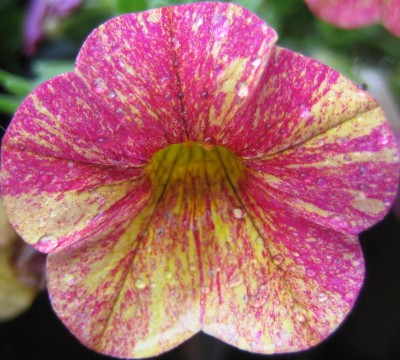 20100909_0001_3.JPG