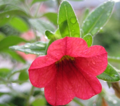 20100909_0001_4.JPG