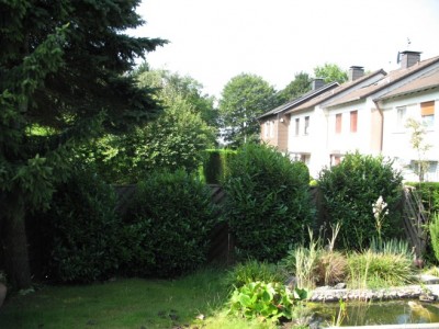 IMG_Straeucher.JPG