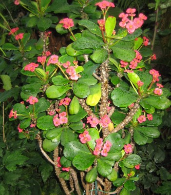20100917_0001_3.JPG