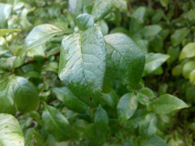 18092010006.JPG